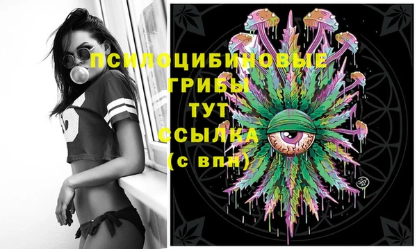 марихуана Новозыбков