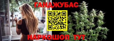 спиды Гагарин