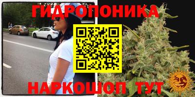 ГАЛЛЮЦИНОГЕННЫЕ ГРИБЫ Гатчина