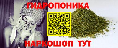спиды Гагарин