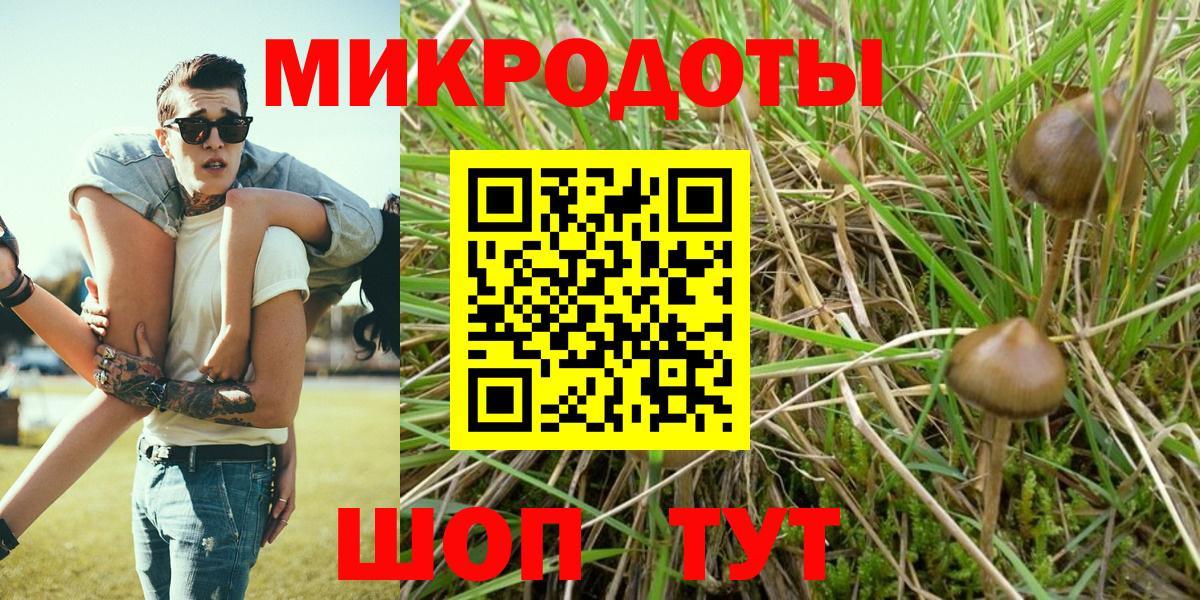 Галлюциногенные грибы ЛСД  Вход с VPN  купить   Ипатово 