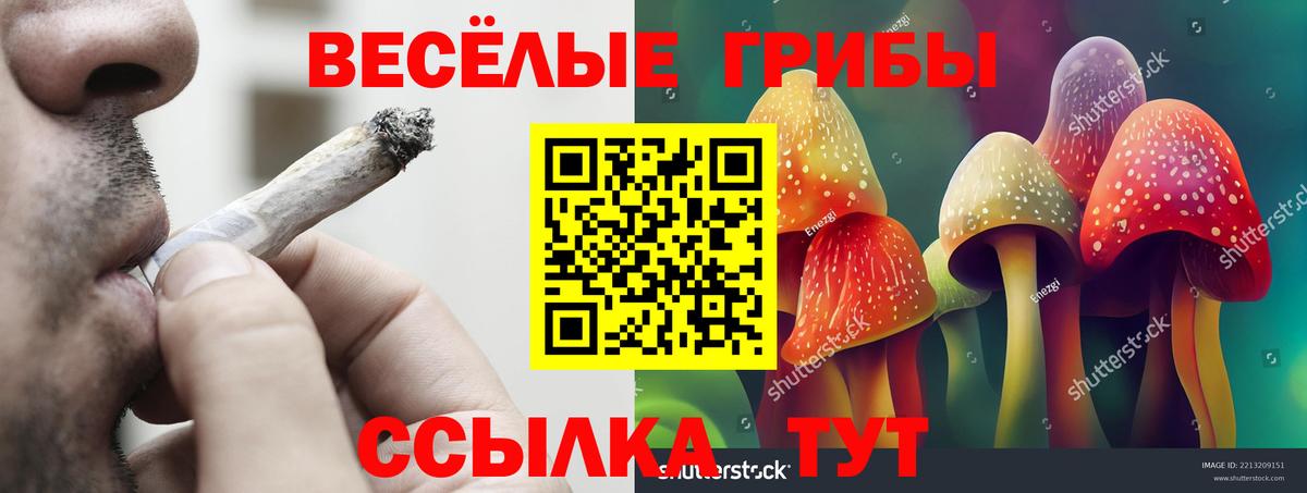 Галлюциногенные грибы прущие грибы Ипатово